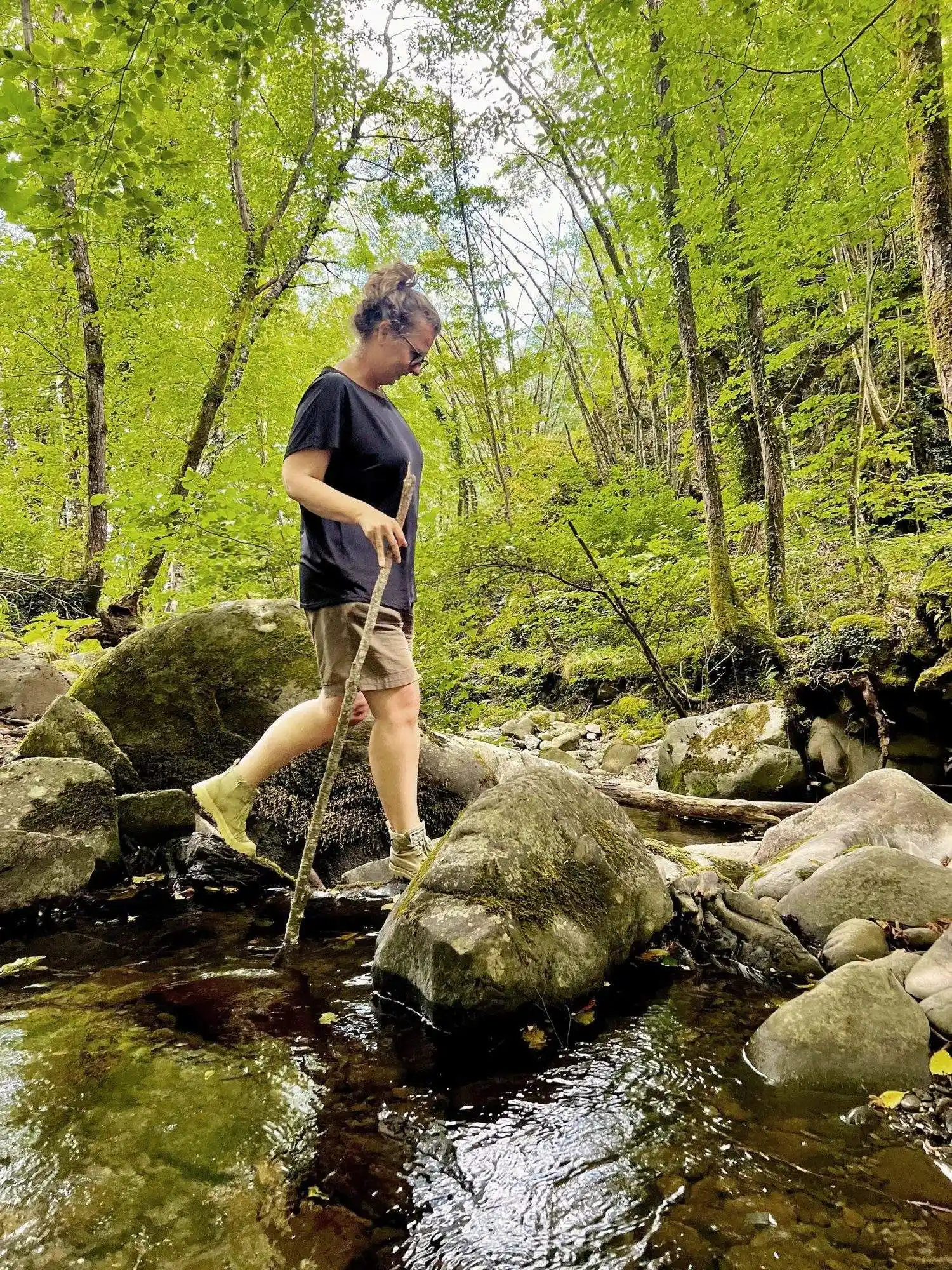 Wild Tuscan forest and nature surrounding Il Vigno, Caprese Michelangelo