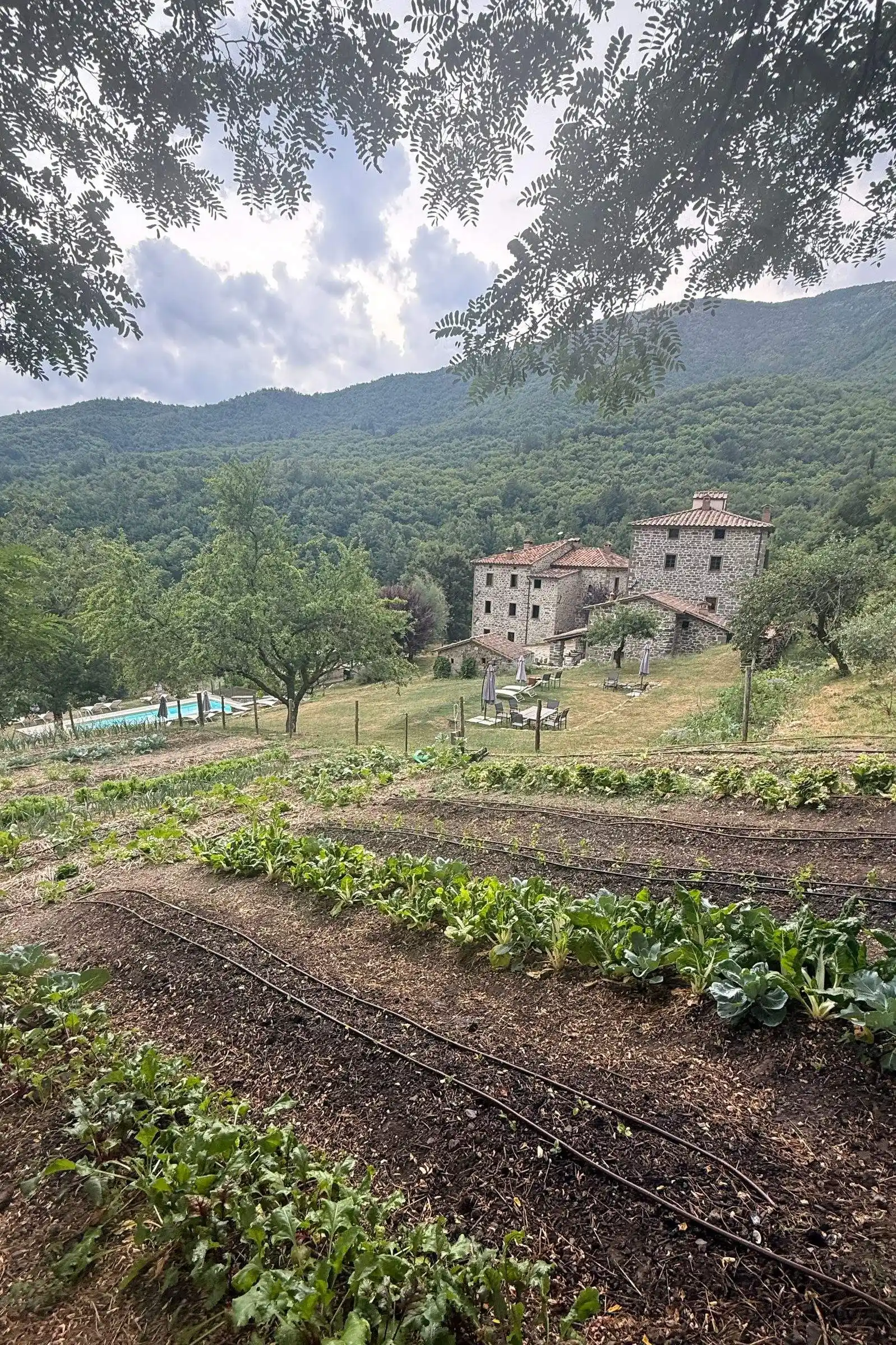 Organic farm-to-table food at Il Vigno agriturismo, Tuscany