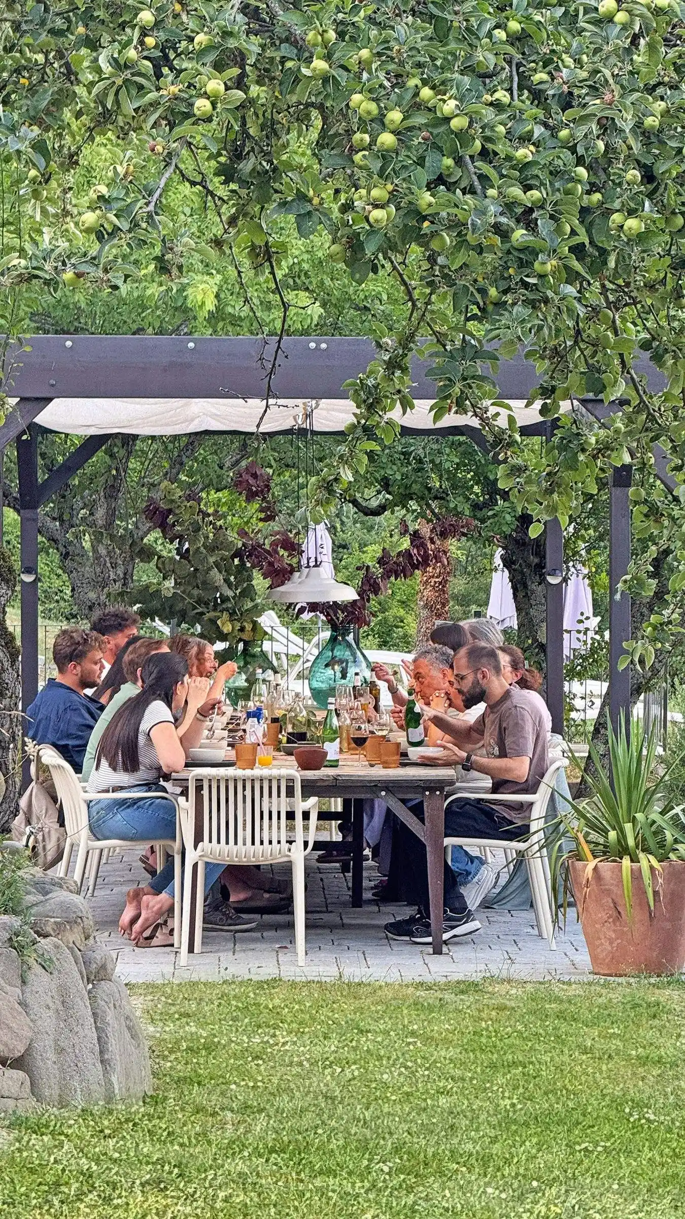 Organic farm-to-table food at Il Vigno agriturismo, Tuscany