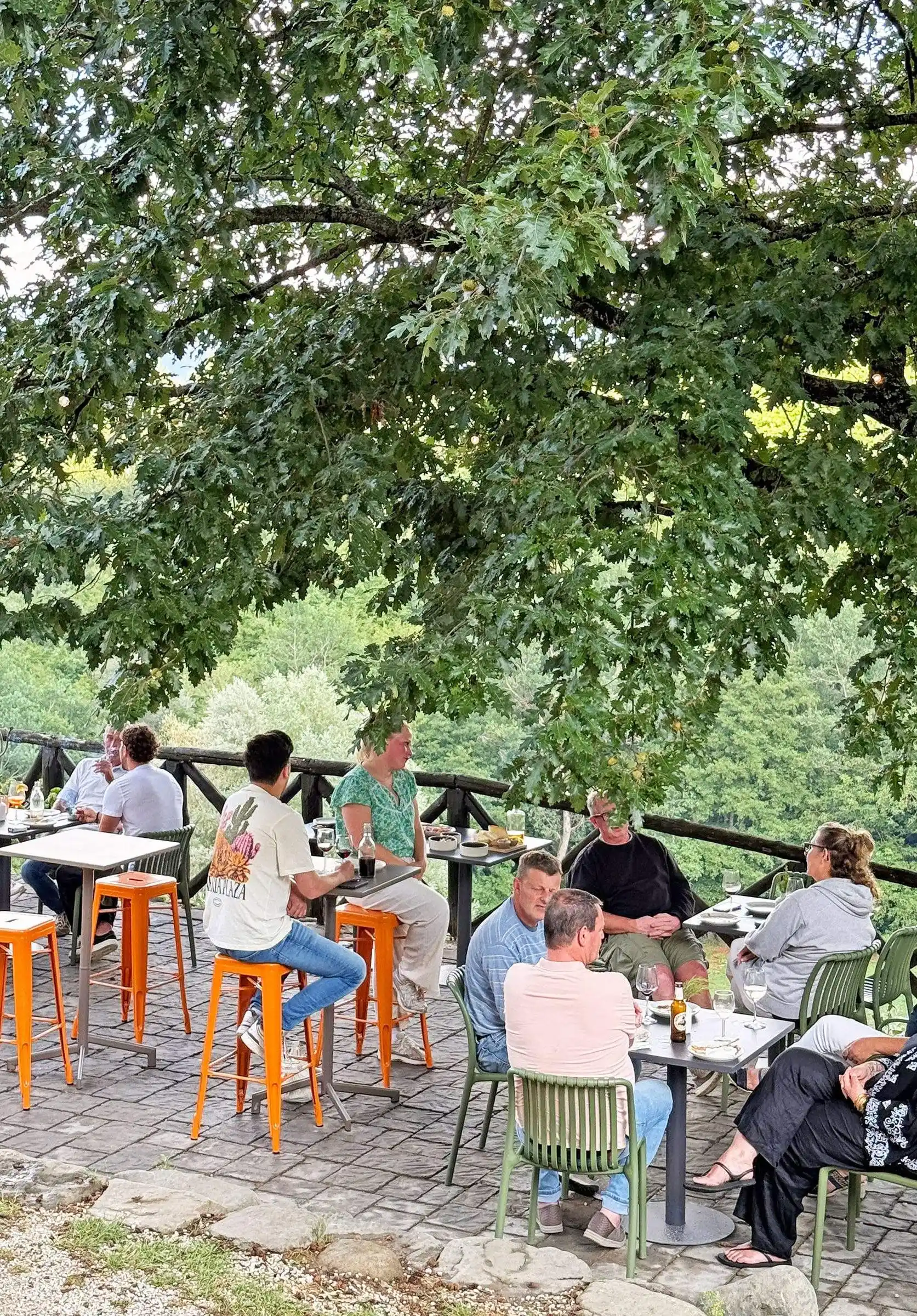 Organic farm-to-table food at Il Vigno agriturismo, Tuscany