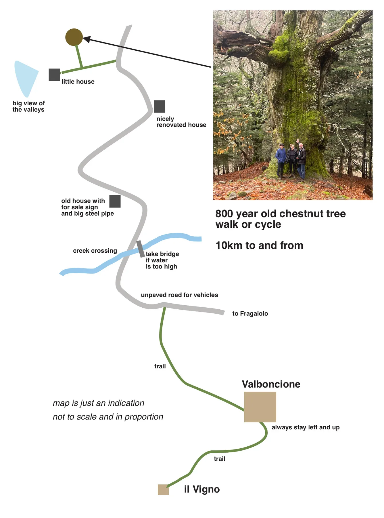 Trail map to the 800-year-old chestnut tree from Il Vigno, Caprese Michelangelo